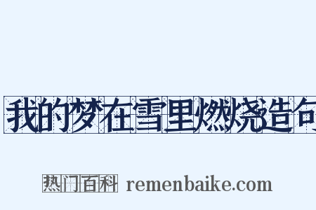 我的梦在雪里燃烧造句是什么意思的图片